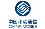 中國(guó)移動(dòng)廣東有限公司